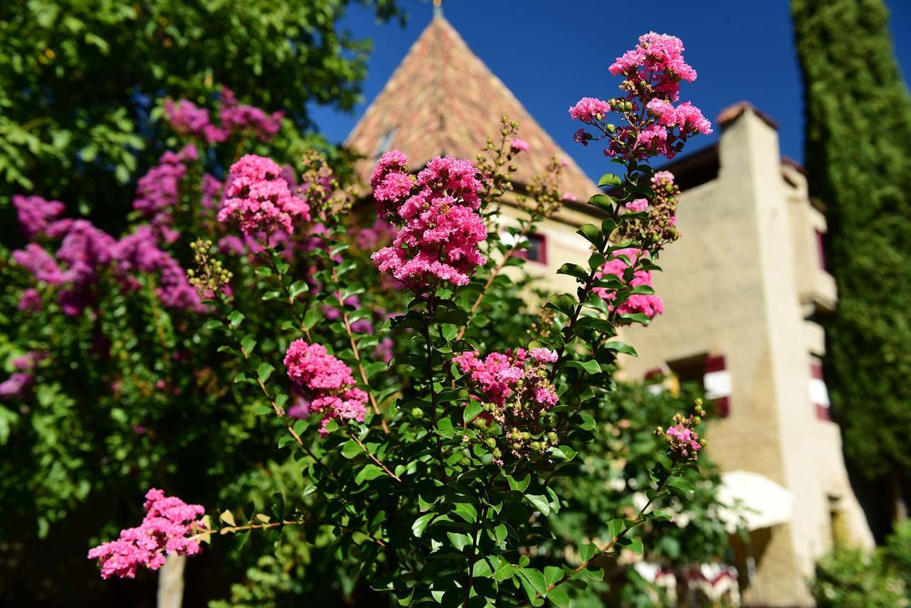 Ansitz Punthof Hotel Lagundo Kültér fotó